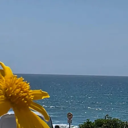 شقة Da Da Areia Branca *